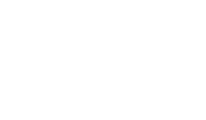 Lamaignere Cargo